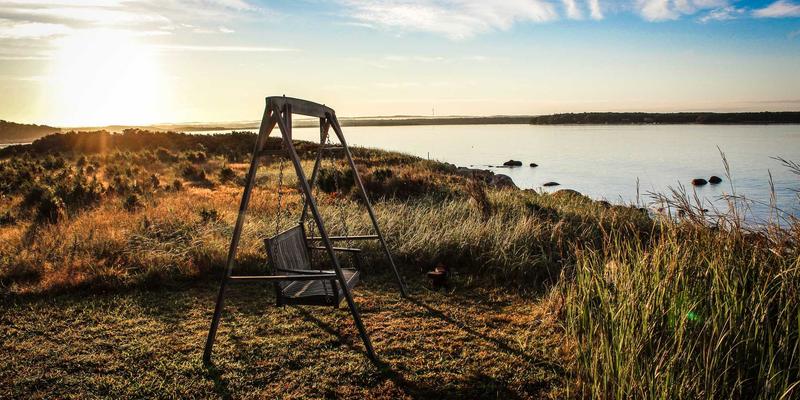 上海迪士尼乐园自由行全攻略：景点推荐与快速通行证使用技巧