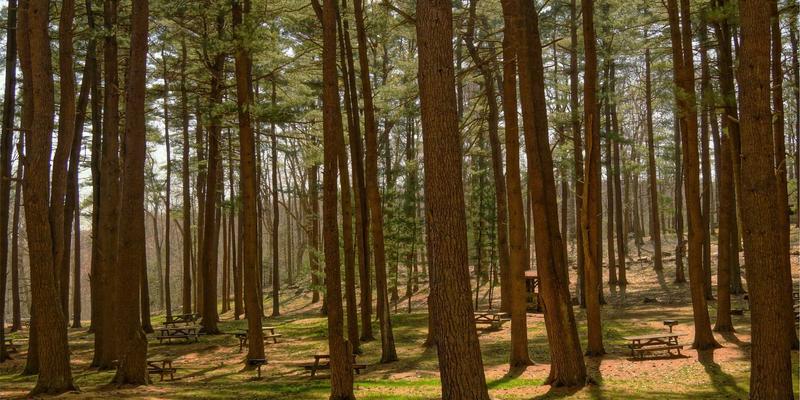 从WWW去那到深度体验：现代旅游攻略的演进与实用指南