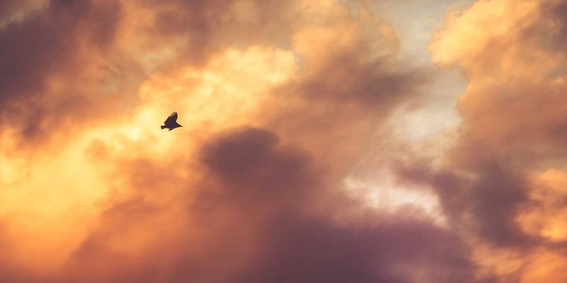 冬季北海道自由行全攻略：札幌雪祭、旭川动物园与道东流冰体验