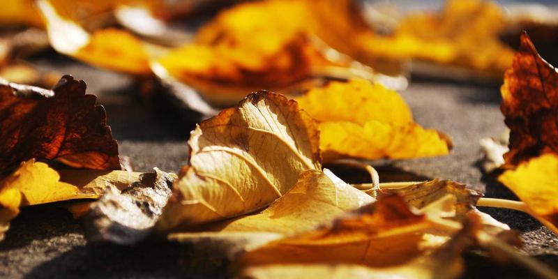 台湾环岛火车旅行慢攻略：平溪线放天灯、池上便当与垦丁海滩的12日纪行