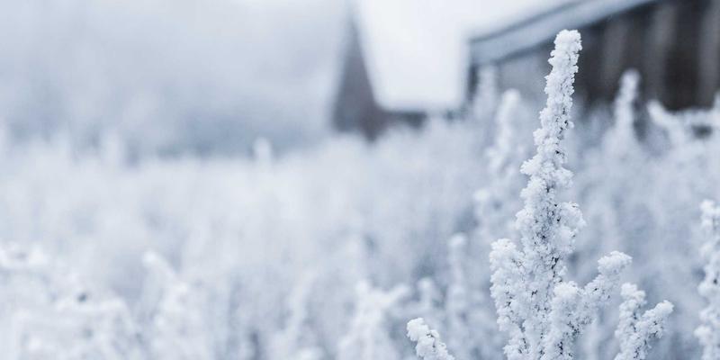 旅游攻略：从行程规划到完美自由行的终极指南