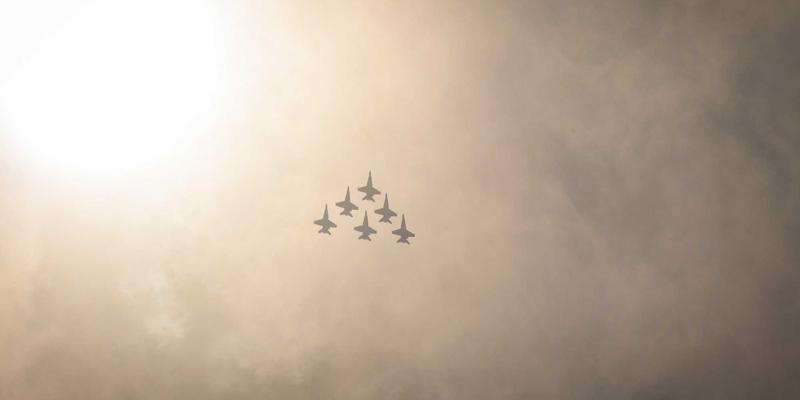 肯尼亚 Safari 全攻略：揭秘马赛马拉动物大迁徙最佳时间与旅行社选择秘籍