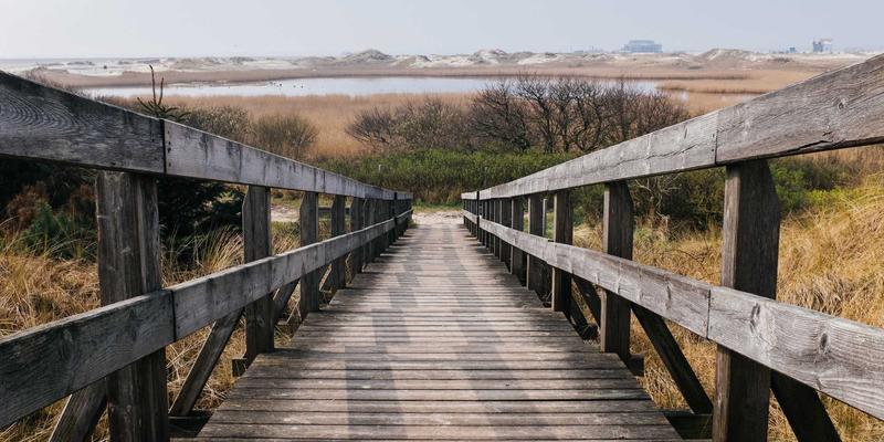 自由行必备指南：如何高效使用旅游攻略玩转心仪景点